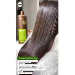 Kit Progressiva Select Blond + Burix One 1 Litro Prohall