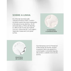 Prohall Kit Reconstrução Intensiva Proboo Fiber 300ml